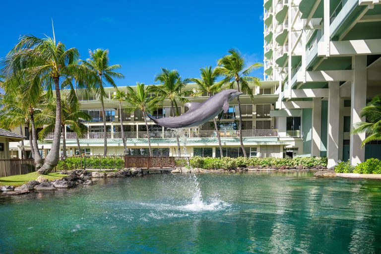 kahala hawaii dolphin1 cruise port hotels