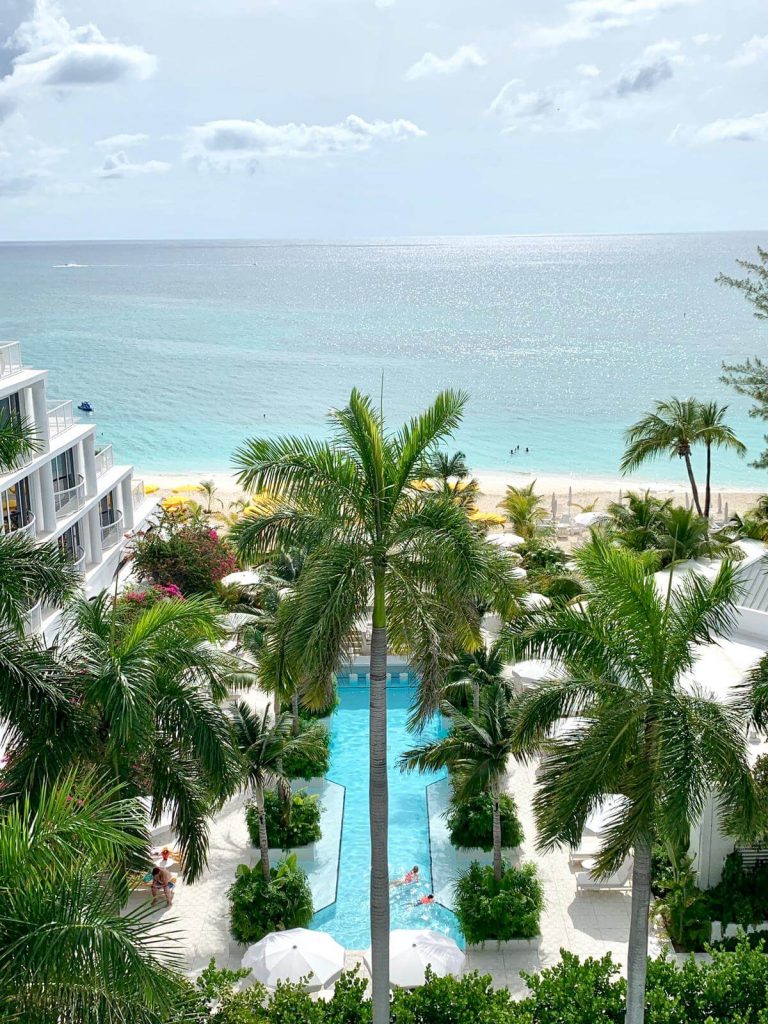 Palm heights pool
