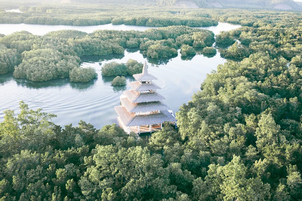 Hideaway-Mangroves-2-1
