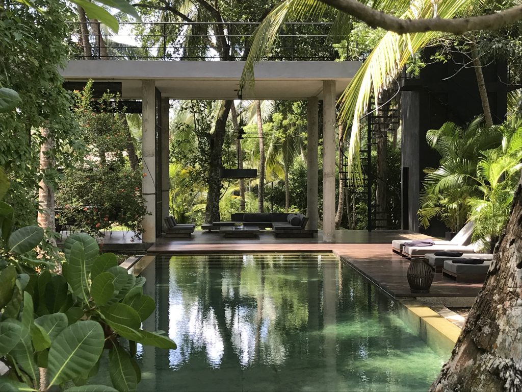 Jungle Pavilion 1