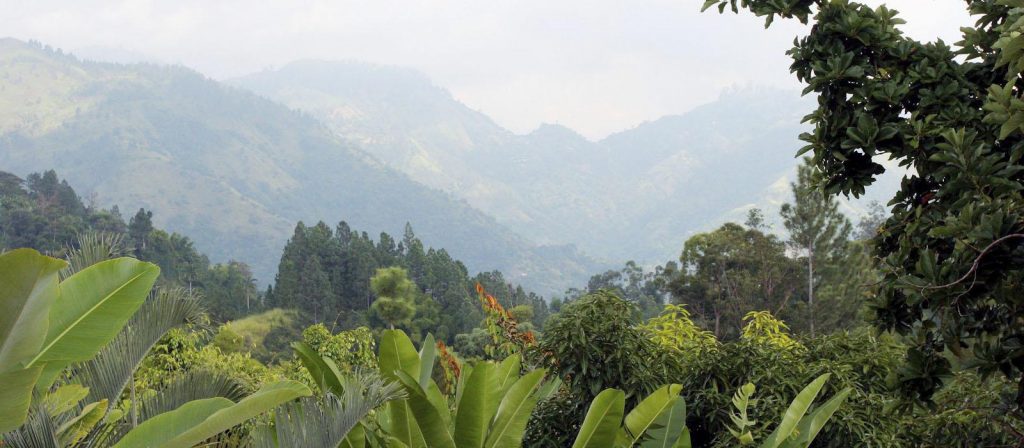 strawberryHill-guided-hikes