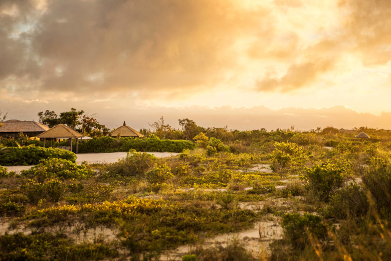 COMO Parrot Cay - Nature